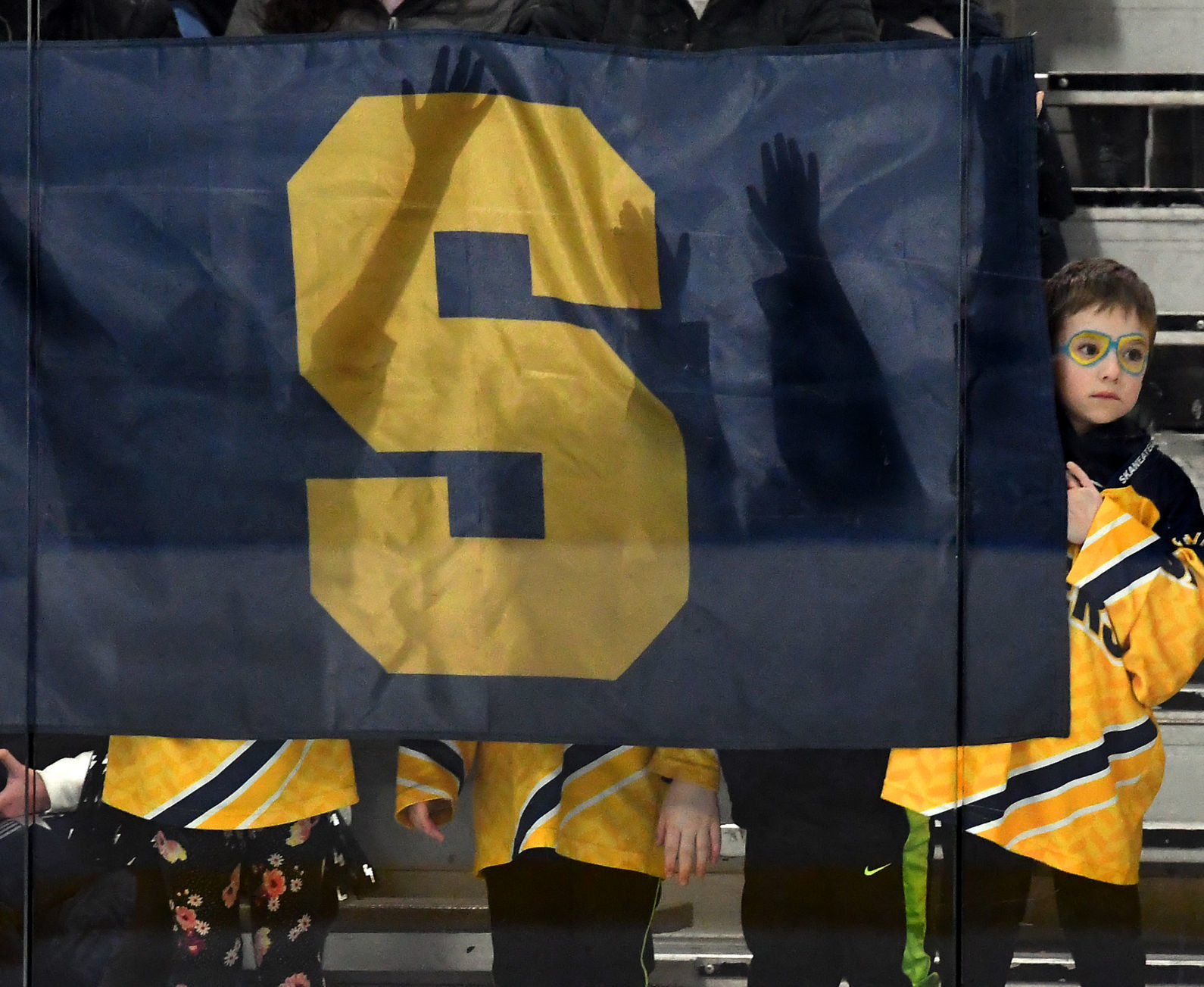 Skaneateles Grand Island 7.JPG